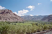 Ladakh - the valley of Phyang 